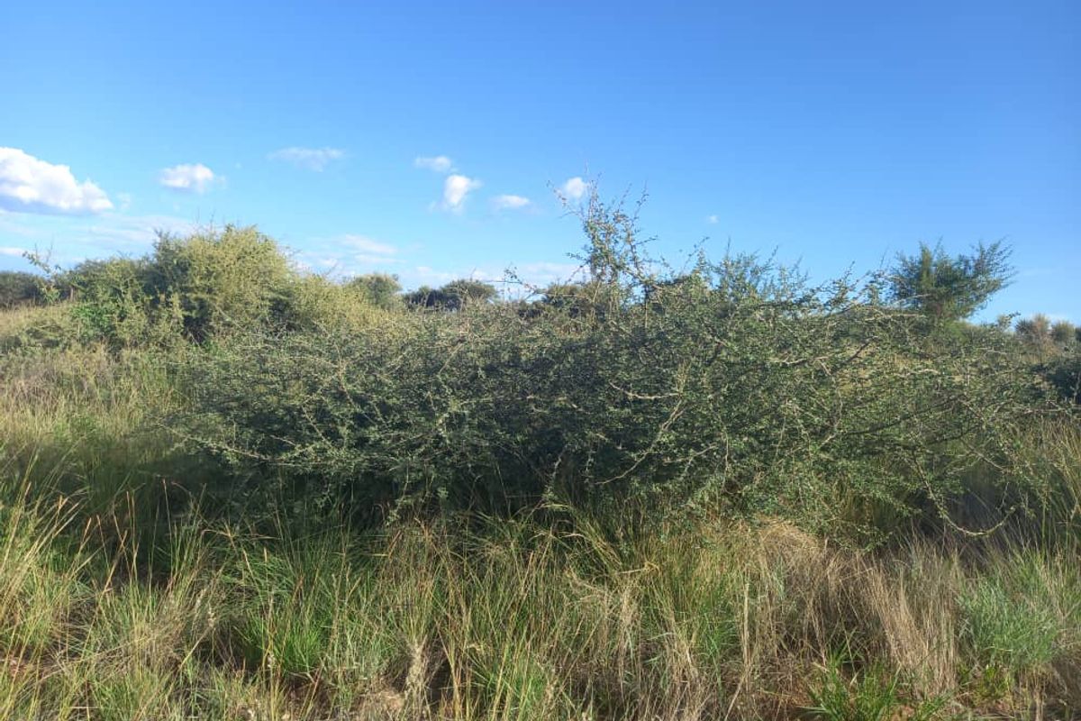 FIRST OF THE GRID MANAGED NATURE ESTATE - NISH LIVING - Photo 4