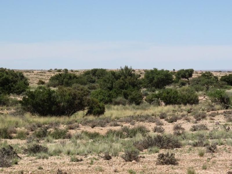 EXQUISITE FARM FOR SALE IN THE SOUTH OF NAMIBIA - Photo 8