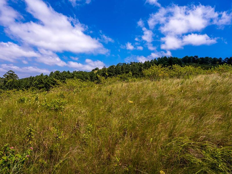 Peaceful Land in Stoneford Country Estate - Photo 6