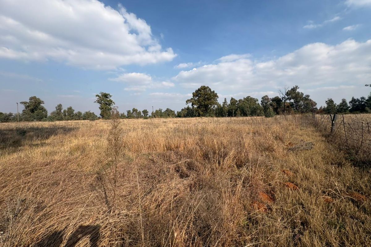 Versatile 2.4 ha Corner Stand of Agricultural Land Offering Space and Opportunity - Photo 4