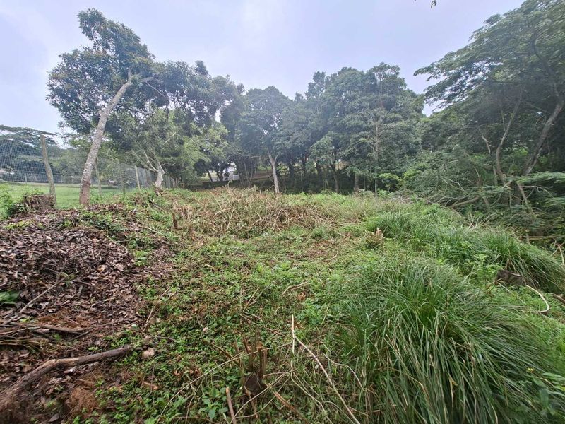 Nestled in the serene enclave of Crestview - Photo 4