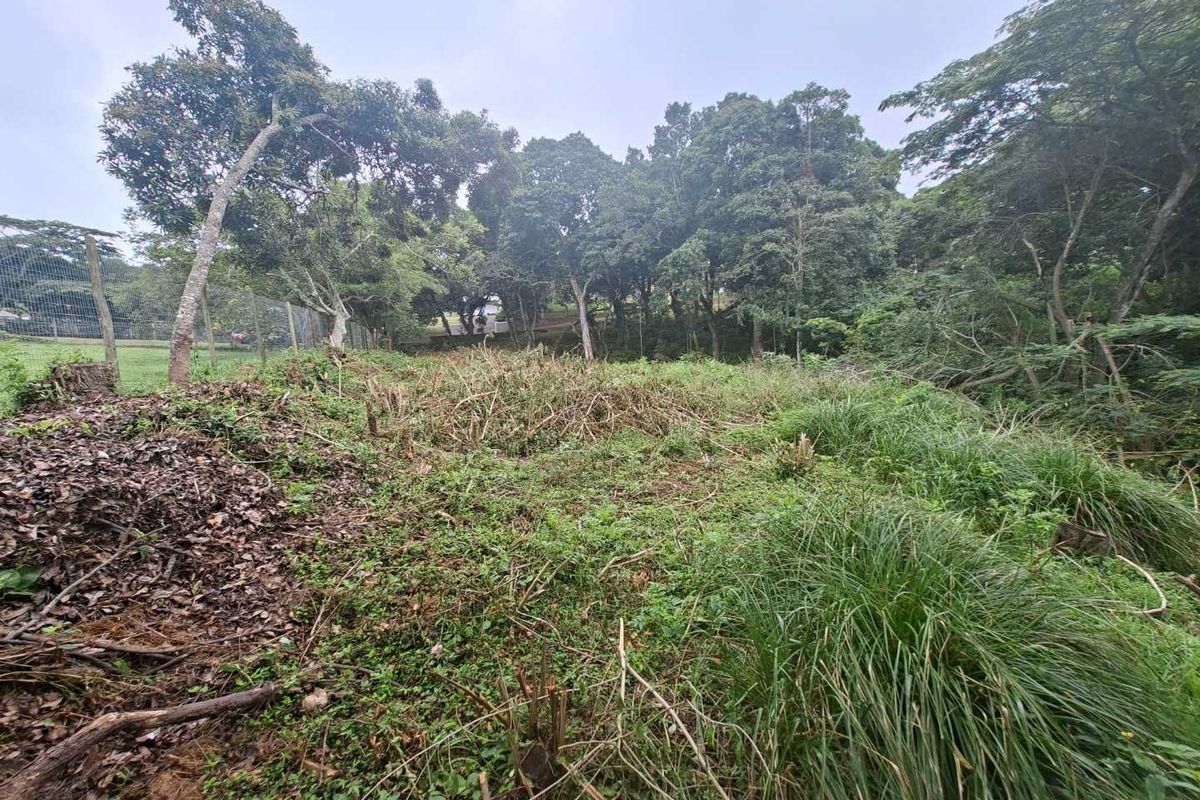 Nestled in the serene enclave of Crestview - Photo 4