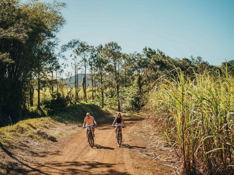 Villa Merea : Tropical Minimalist Living in a Preserved Sanctuary - Photo 3