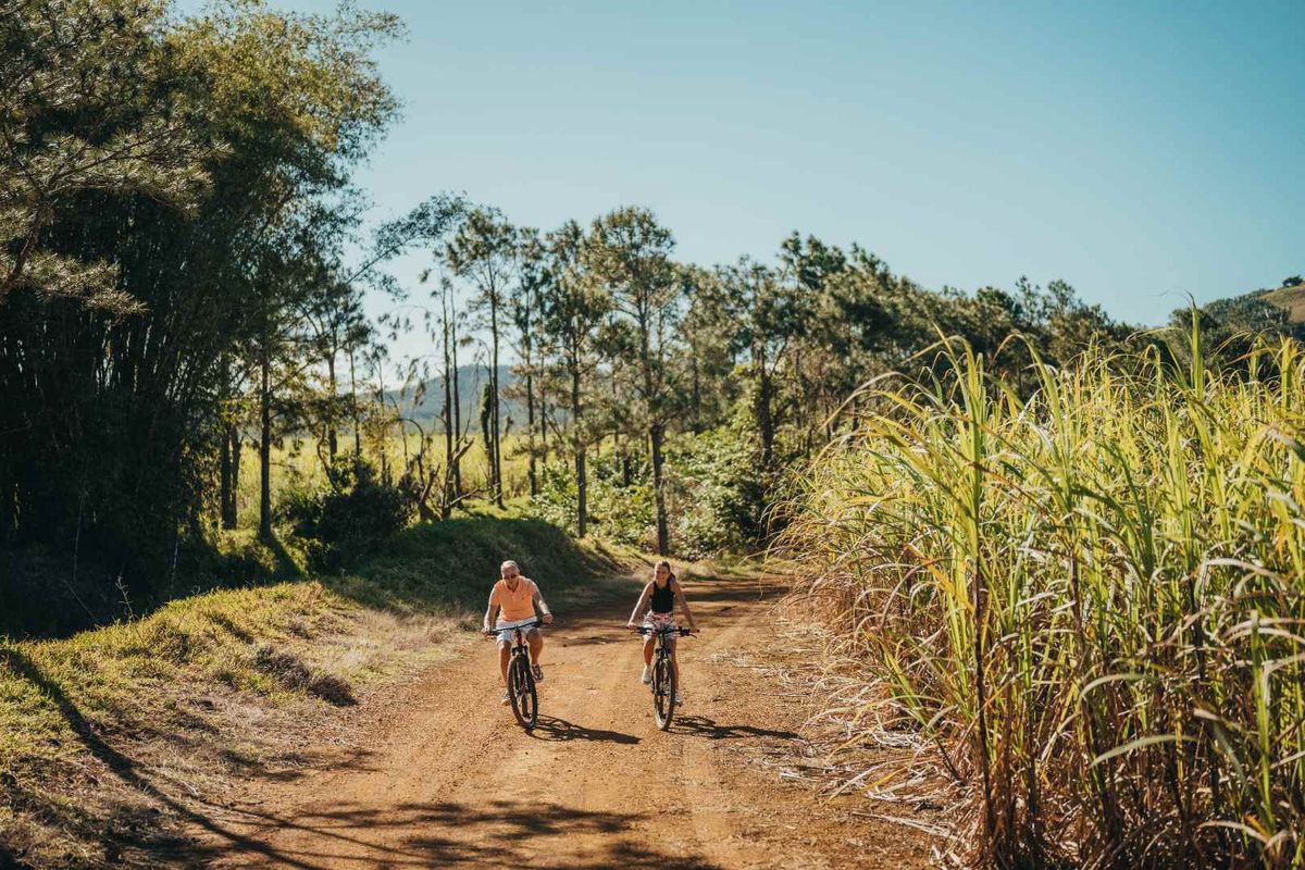 Villa Merea : Tropical Minimalist Living in a Preserved Sanctuary - Photo 3