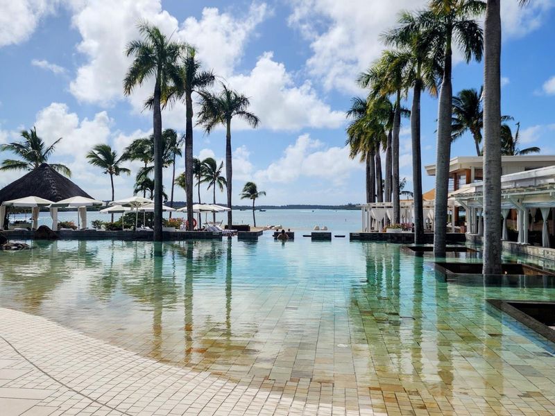A luxurious infinity pool area featuring integrated palm trees, tiled surrounds, and a scenic view of the ocean and coastline.
