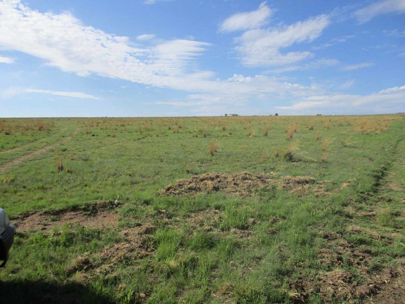 GREAT BUSINESS OPPORTUNITY - Photo 5