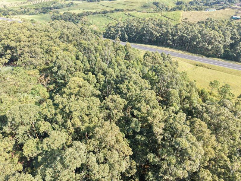18 Stands in an existing Estate for sale - Photo 10