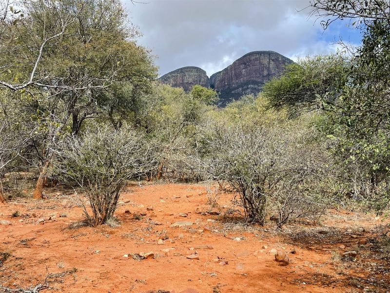 Prime 1-Hectare Stand for Sale in Canyon Game Reserve - Photo 2