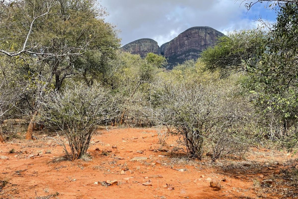 Prime 1-Hectare Stand for Sale in Canyon Game Reserve - Photo 2