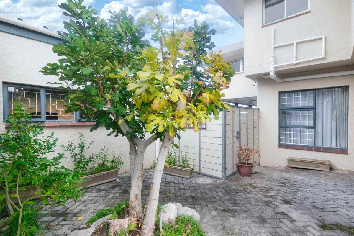 A paved rear courtyard area featuring established trees, aluminium window frames with security bars, and external building infrastructure.