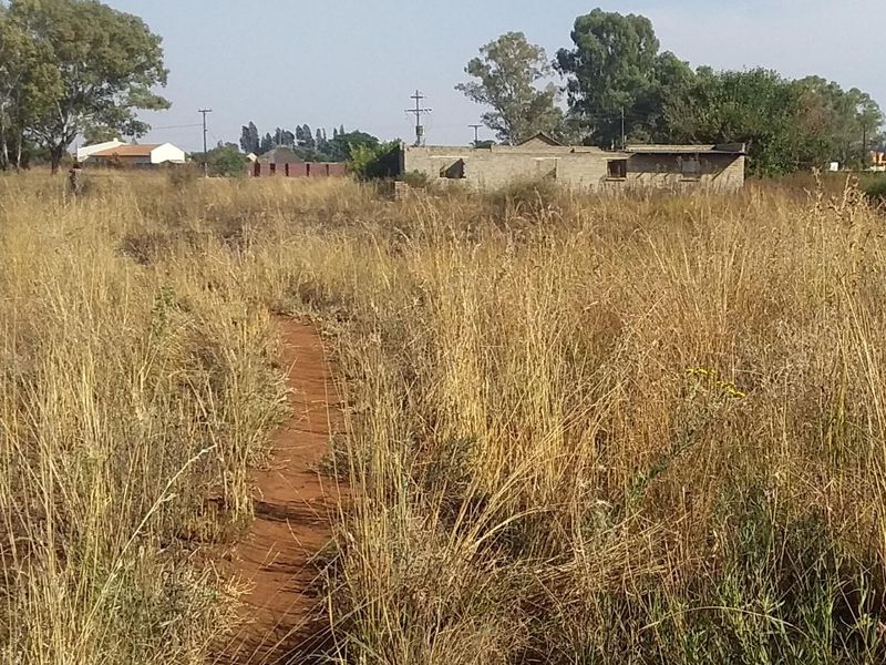 A view of an undeveloped residential plot featuring tall, dry grass and a dirt path leading toward a distant structure.