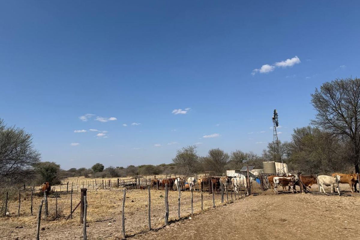 A functional farm area featuring livestock fencing, a cattle kraal, a traditional windmill, and a water storage tank in a rural setting.