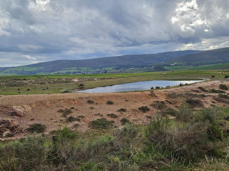 Get back-to-basics in beautiful B-Bos - Photo 10