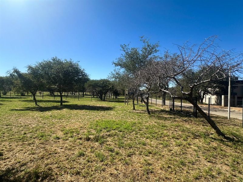 Commercial Stand for Sale - Zandspruit Boulevard, Hoedspruit - Photo 7