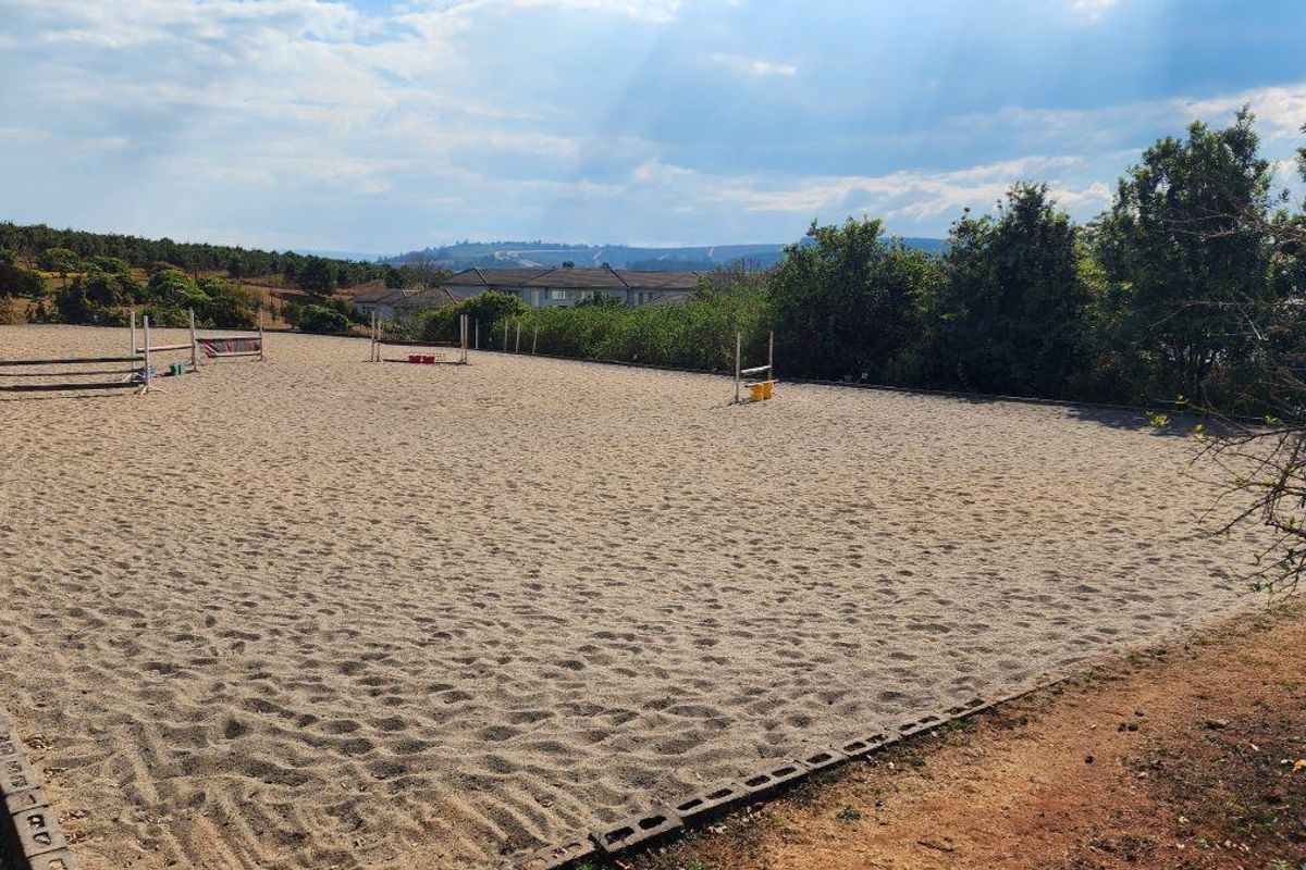 Sophisticated Country Living with a Main house, Cottage & Equestrian Facilities – A White River Gem! - Photo 4