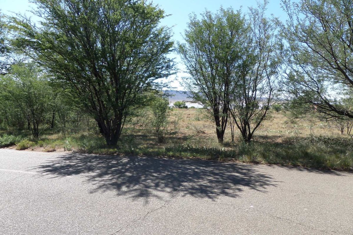 ZEBRA CROSSING - Photo 2