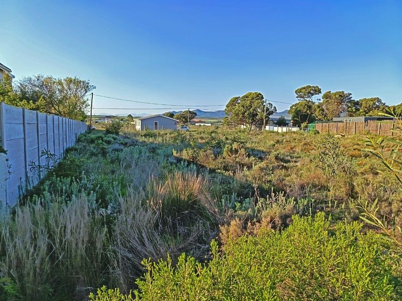 Big Skies,  Big Dreams! - Photo 9