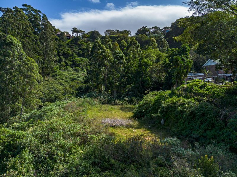 Developmental Opportunities or a Dream Home - Photo 4