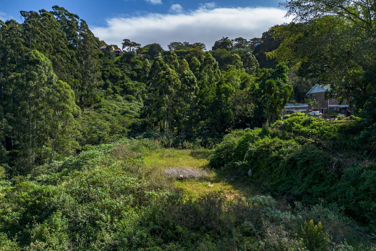 Developmental Opportunities or a Dream Home - Photo 4