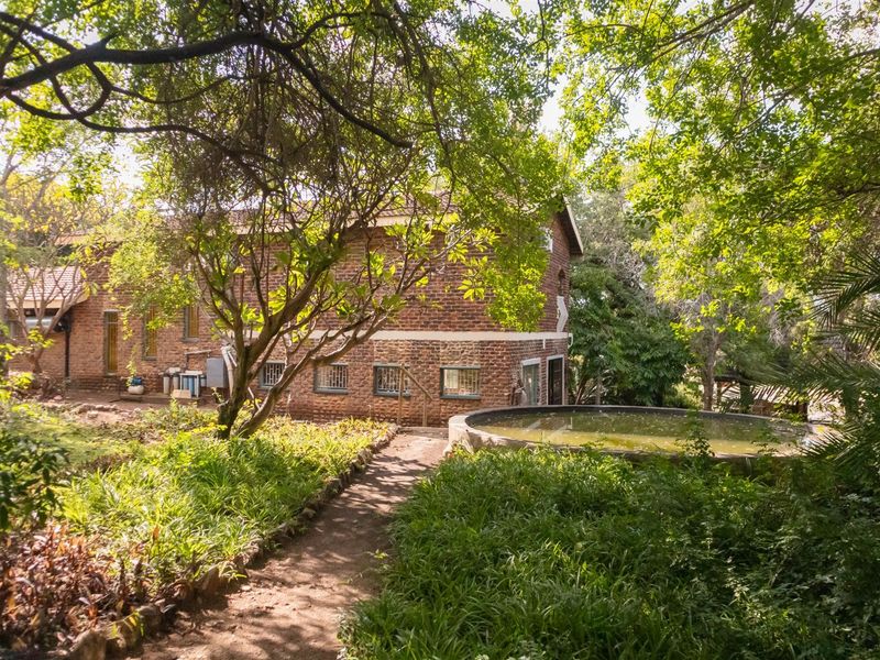 Two-third (2/3) shareholding for Sale - Riverside Property in Ndlovumzi Nature Reserve - Photo 4
