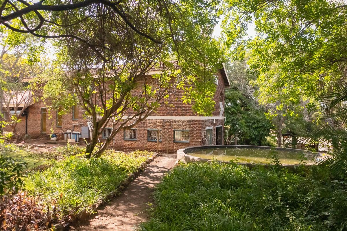 Two-third (2/3) shareholding for Sale - Riverside Property in Ndlovumzi Nature Reserve - Photo 4
