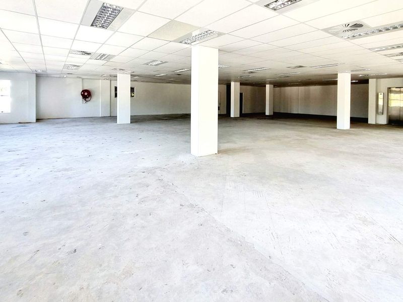 Commercial building 1,114.91m2 Florida Road asset for sale | Part tenanted, part vacant | Signage, parking & prime positioning included - Photo 2