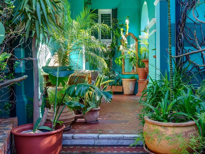 Most gorgeous character home for sale next to De Waal Park - Photo 6