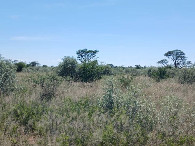 Farm For Sale - Photo 3