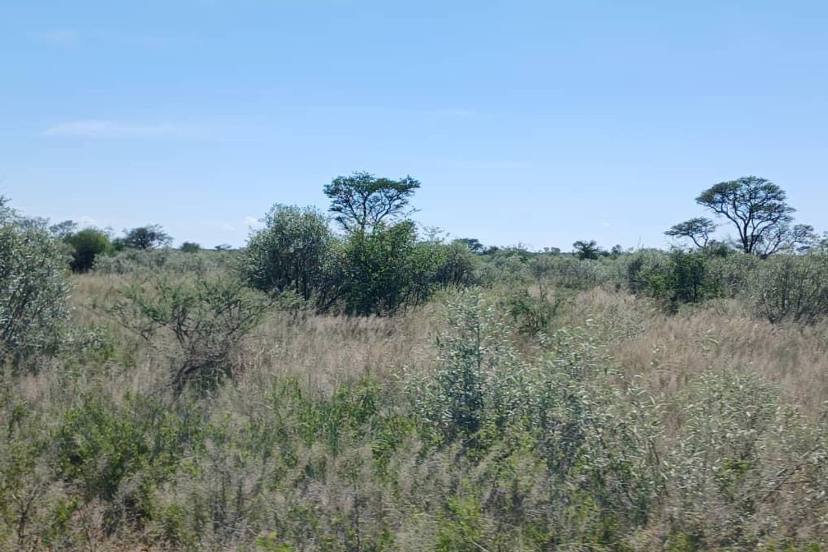 Farm For Sale - Photo 3