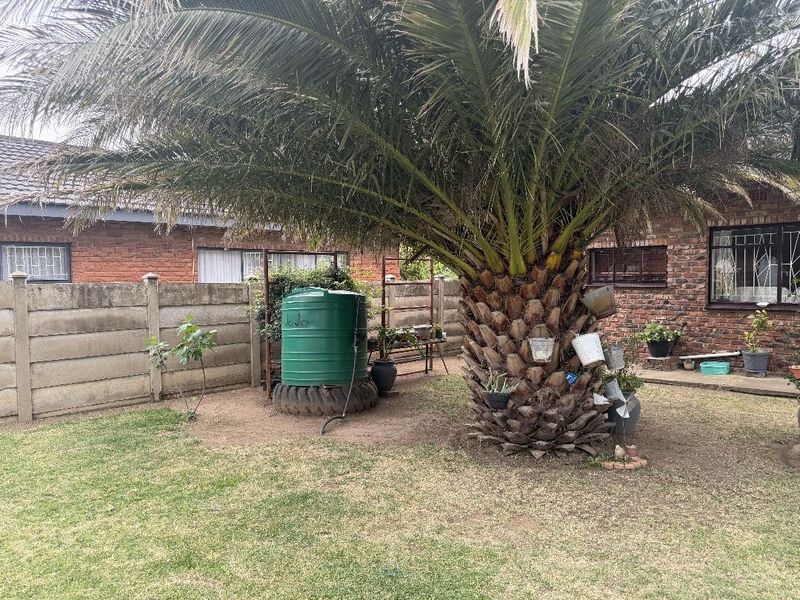 A private garden area featuring a large palm tree, a water storage tank, and a brick-clad house exterior with security-fitted windows.