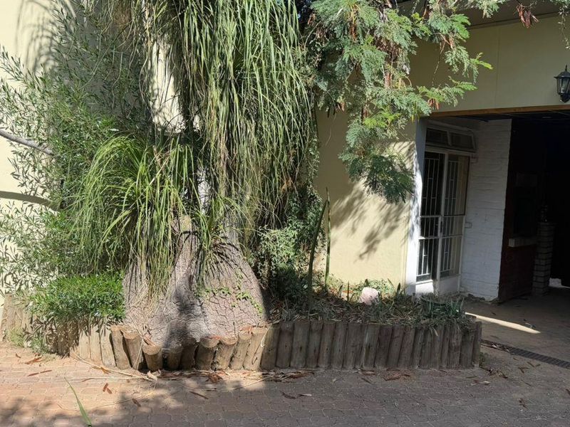 🏢 PRIME HOSPITALITY INVESTMENT – WINDHOEK CBD SOUTH ✨ - Photo 9