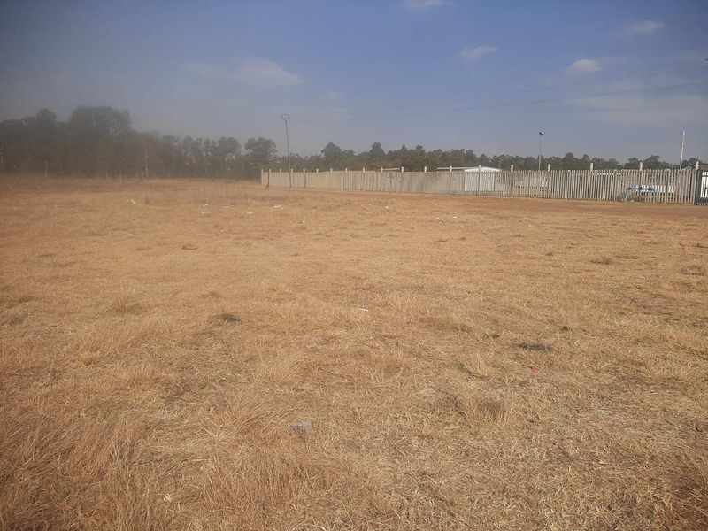 1Ha small holding for farm produce and a contry living - Photo 8