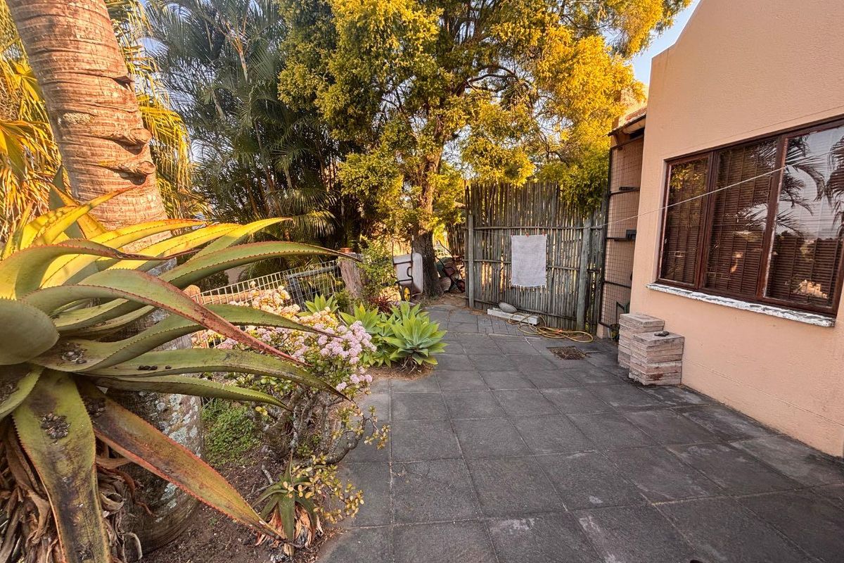 A paved rear courtyard area featuring established garden landscaping, mature trees, and a perimeter fence, providing a private outdoor space.