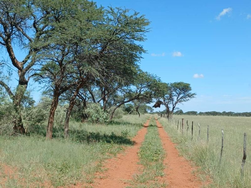 Farm For Sale - Photo 10
