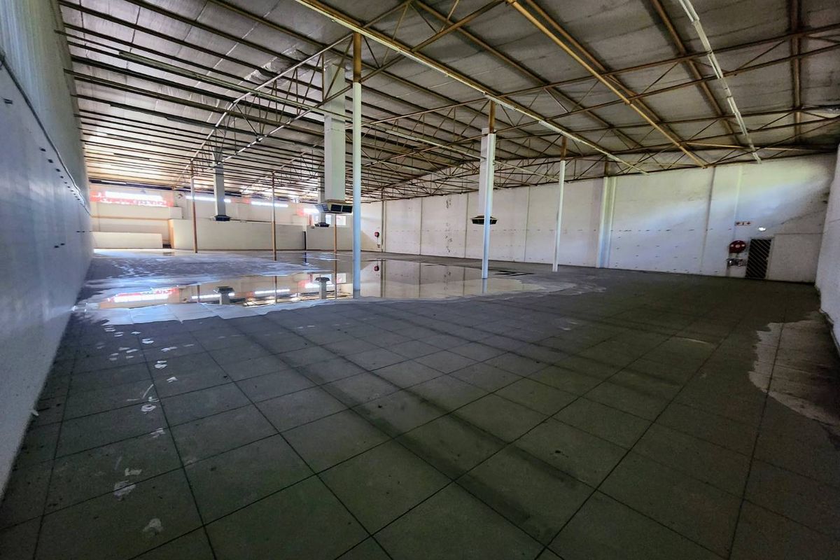 Massive 1,350 m2 Open-Plan Warehouse / Showroom on Steve Biko Road - Photo 4