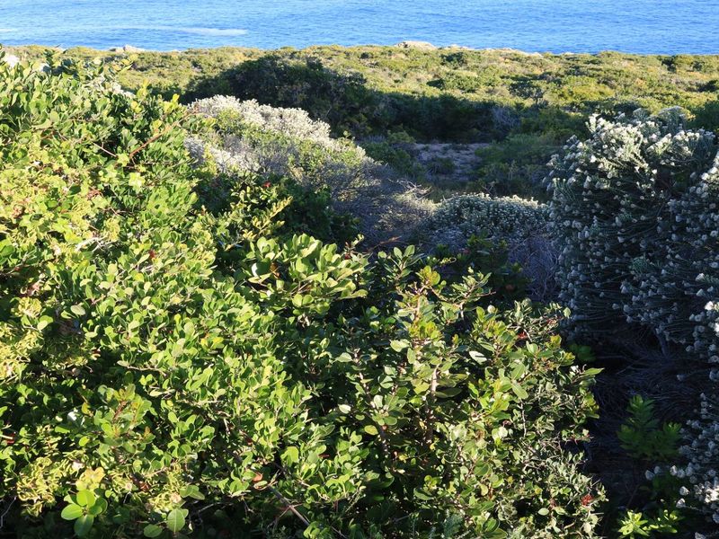 Vacant Land for sale in Pinnacle Point Golf Estate - Photo 8