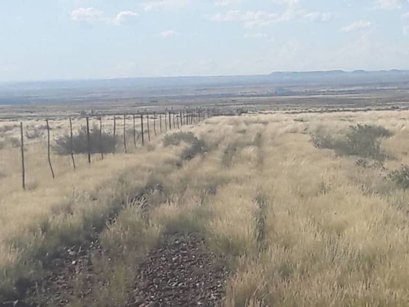 A RARE FIND IN SOUTHERN NAMIBIA – 3 WELL-DEVELOP FARMS SOLD TOGETHER - Photo 10