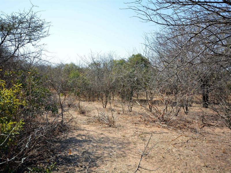 Vacant Land in MODITLO NATURE RESERVE - Photo 10