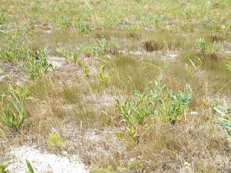 A Haven to Hold - Photo 9