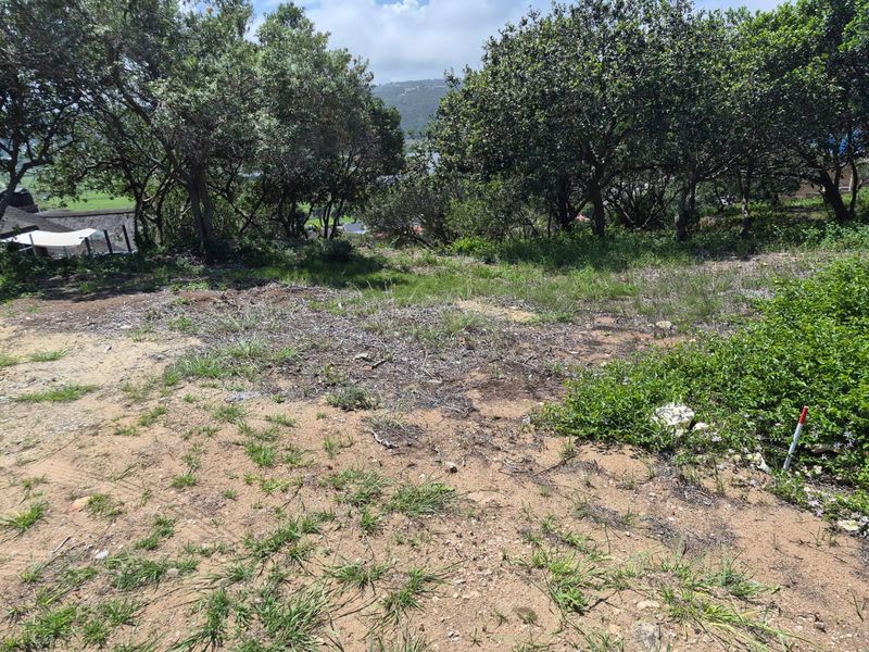 Vacant 1167m2 Stand with Scenic Views Over Groot Brak River on the Garden Route - Photo 3