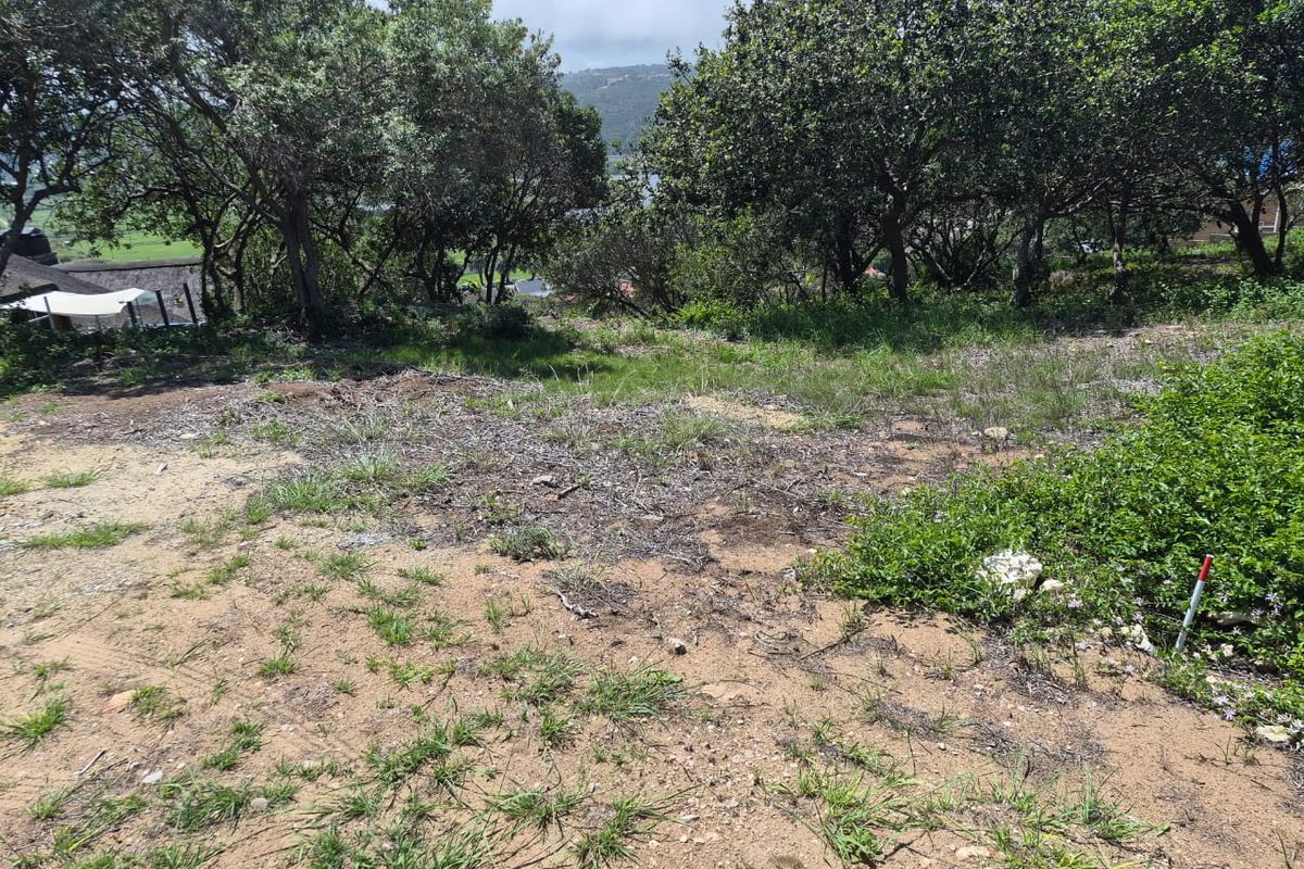 Vacant 1167m2 Stand with Scenic Views Over Groot Brak River on the Garden Route - Photo 3