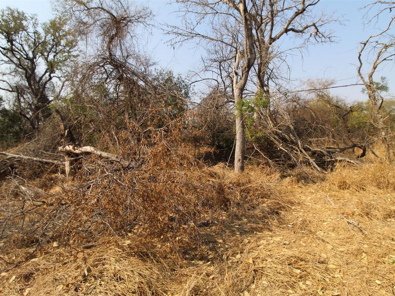 River front stand - Photo 7