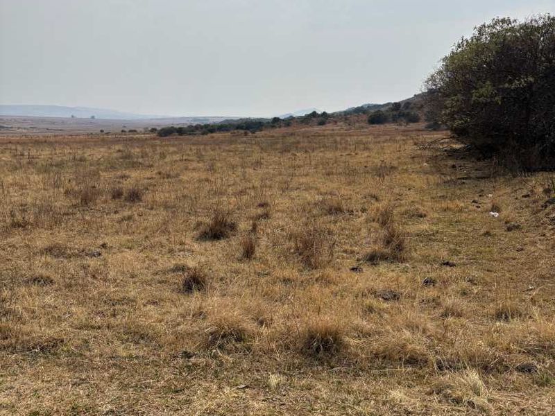 UNDEVELOPED FARM FOR SALE - Photo 8