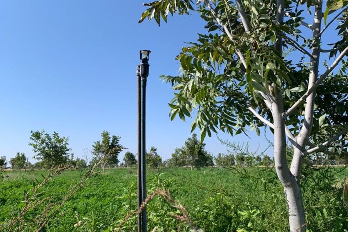 A view of the farm garden featuring an installed irrigation sprinkler system amidst the cultivated land and trees.