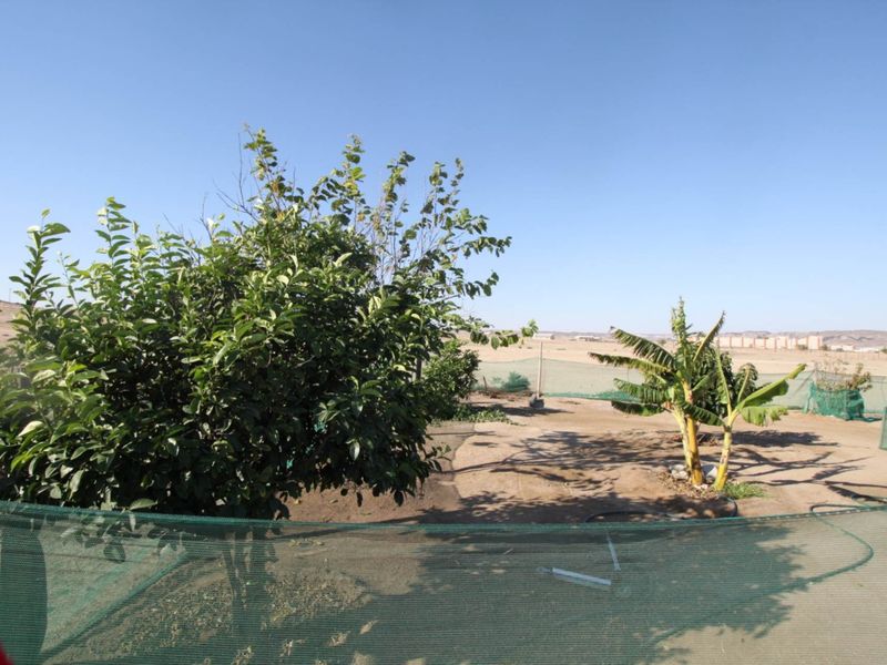 Beautiful Small Holding - Swakopmund River Plots - Photo 10