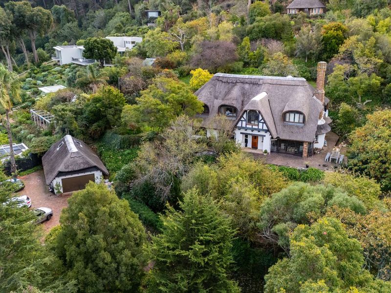 Witteboomen - a world above Constantia! - Photo 8