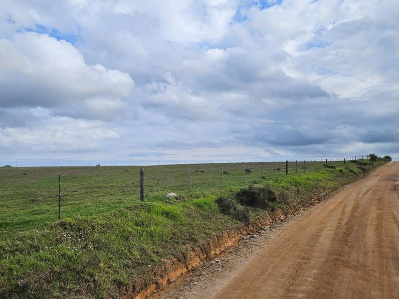 Get back-to-basics in beautiful B-Bos - Photo 3