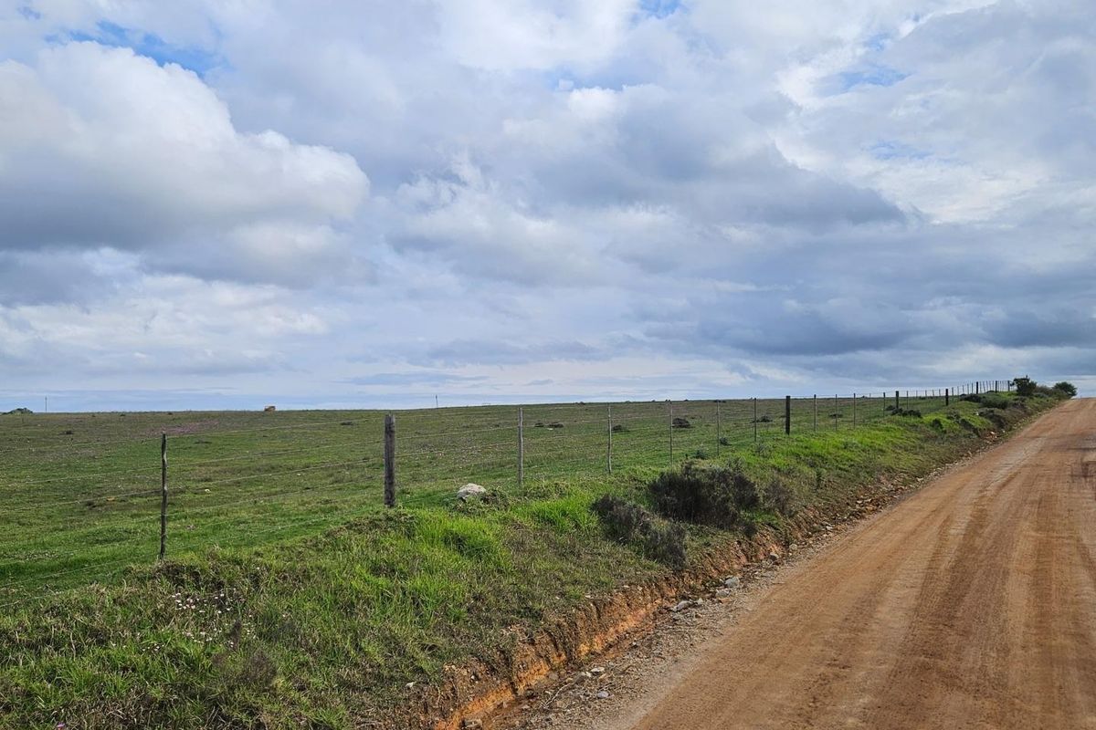 Get back-to-basics in beautiful B-Bos - Photo 3