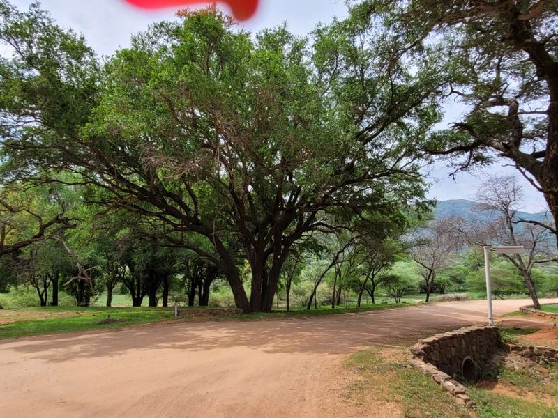 Build Your Ideal Home Here - Photo 5