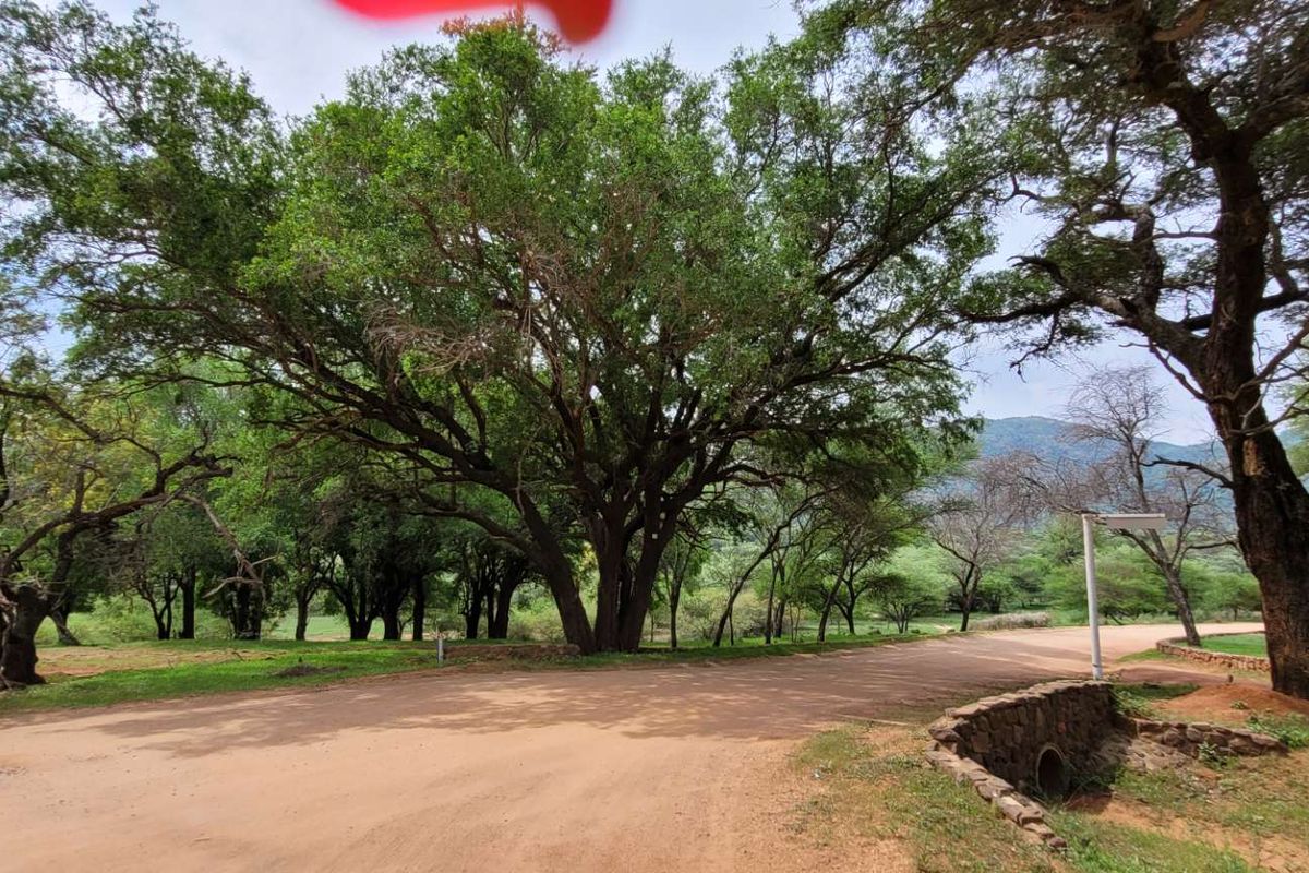 Build Your Ideal Home Here - Photo 5